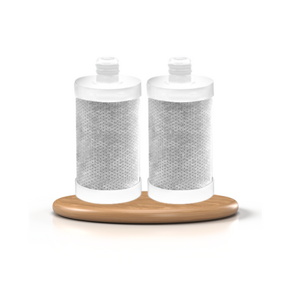 מסנן החלפה ל CARE FILTER 3 AT 1 לראש גשם